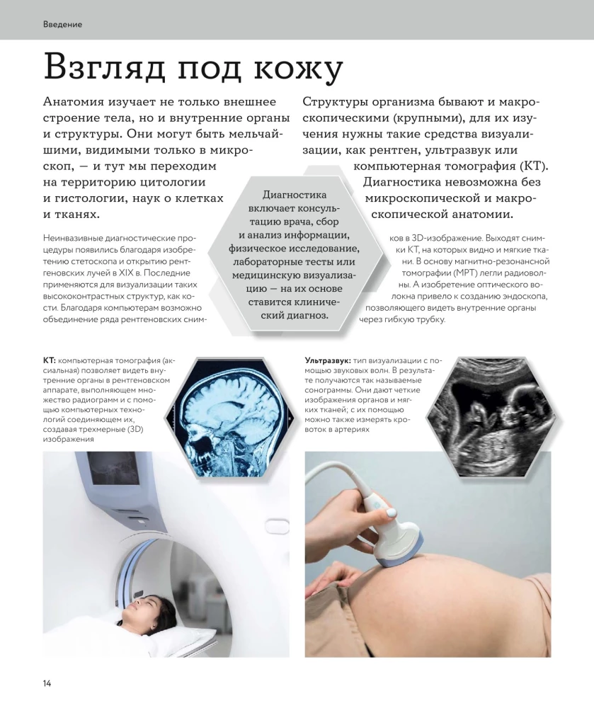 Anatomia człowieka. Wizualny przewodnik po wszystkich systemach organizmu: norma i patologie